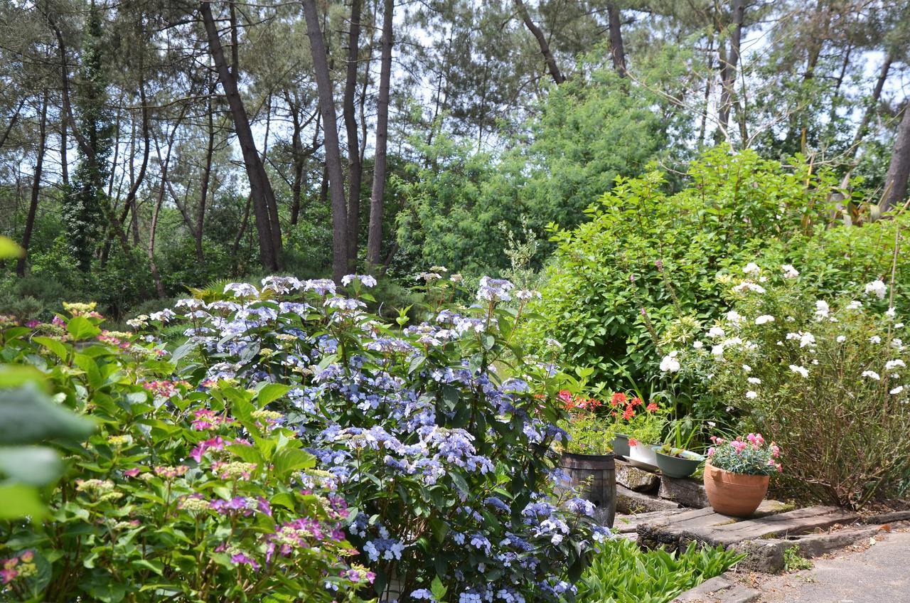 Bed and Breakfast L'Hippocampe Sérent Exterior foto
